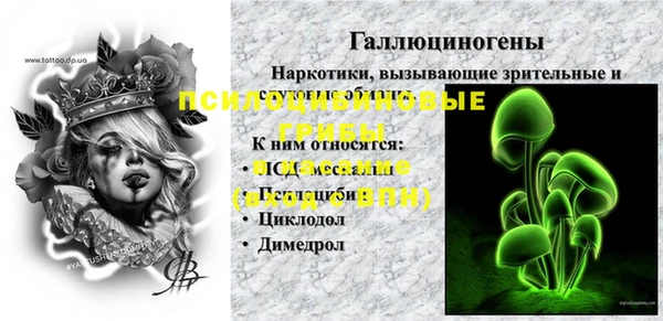 прущие грибы Абдулино