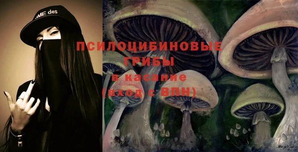 шишки Алзамай