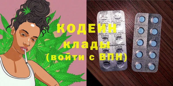 прущие грибы Абдулино
