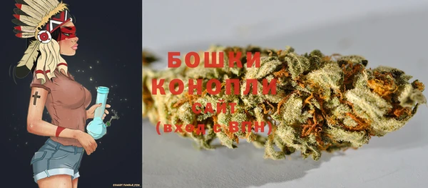 прущие грибы Абдулино