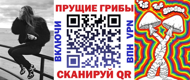 мега ссылки  Ипатово  Псилоцибиновые грибы Psilocybine cubensis 